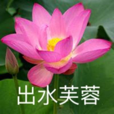极光游戏中国式家长下载安装
