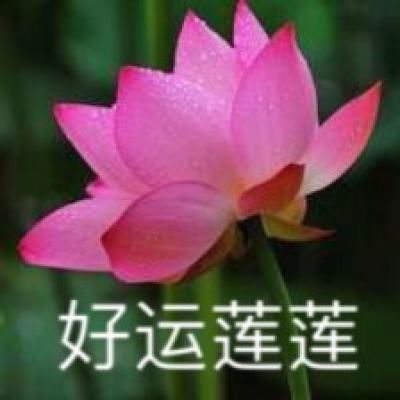 中餐厅华为小游戏下载