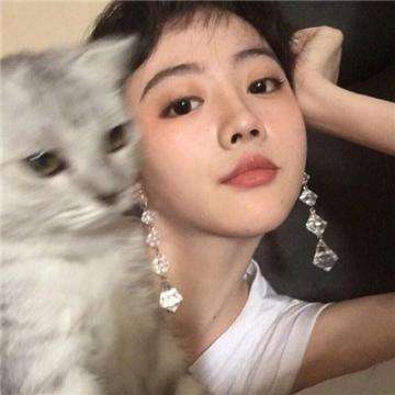 海盗Q传内购破解版下载